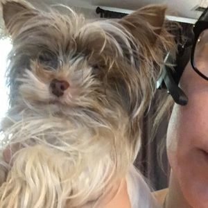 Meet your Posher, Lisa